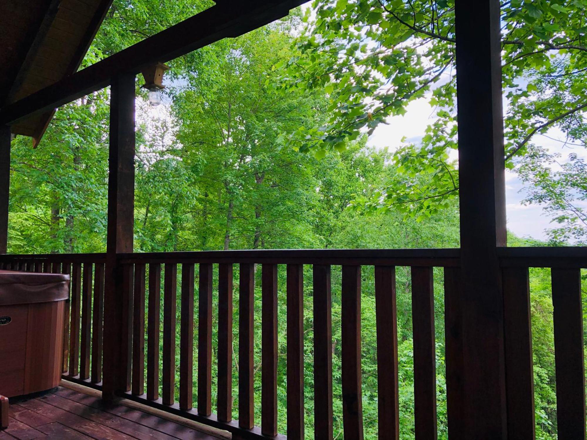 Black Bear Cove جاتلينبرج المظهر الخارجي الصورة