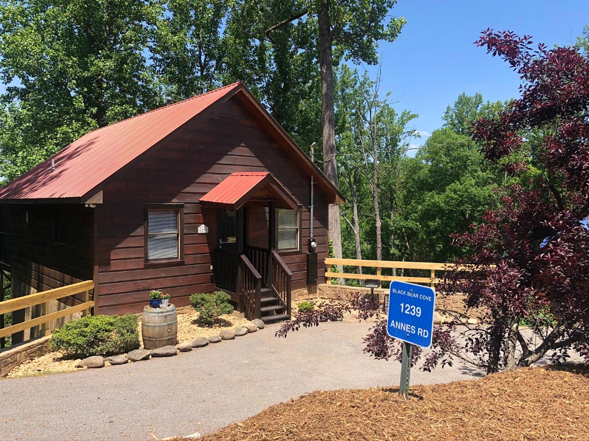 Black Bear Cove جاتلينبرج المظهر الخارجي الصورة