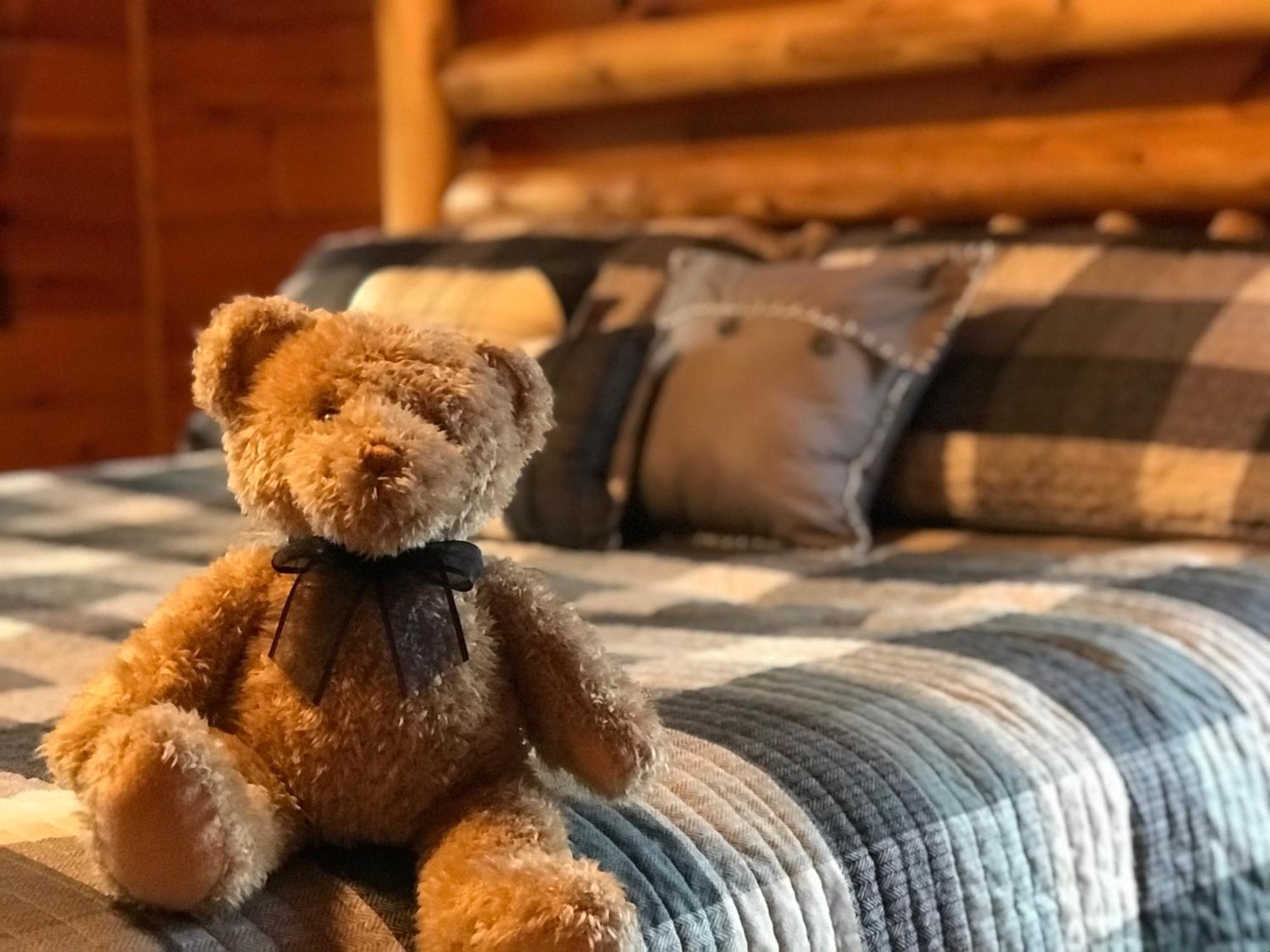Black Bear Cove جاتلينبرج المظهر الخارجي الصورة