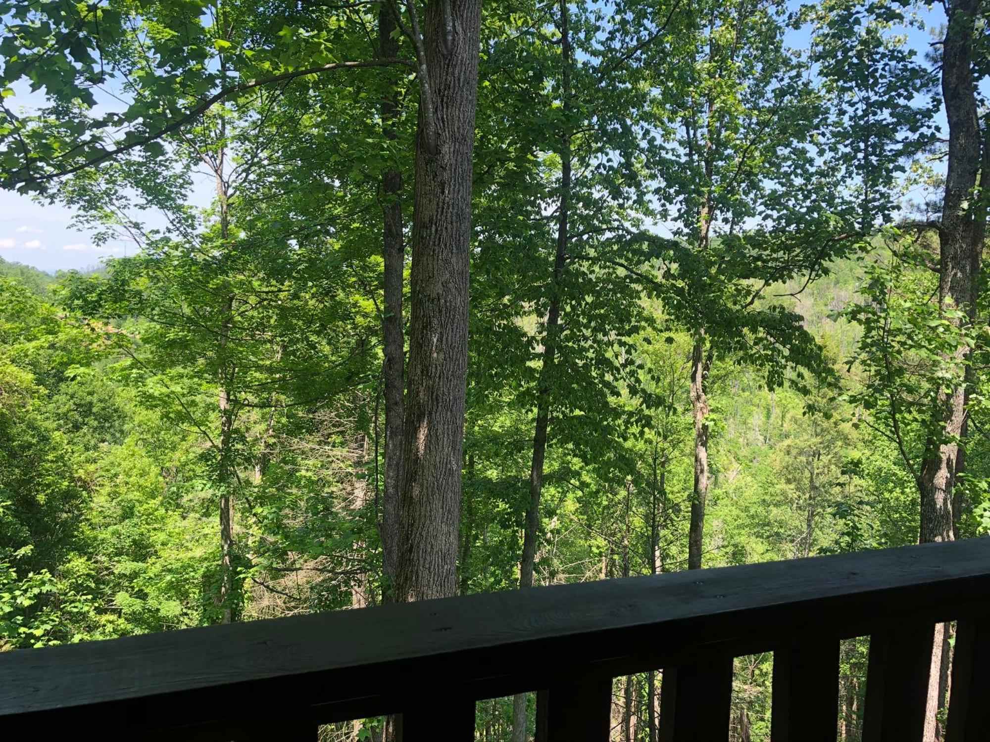 Black Bear Cove جاتلينبرج المظهر الخارجي الصورة
